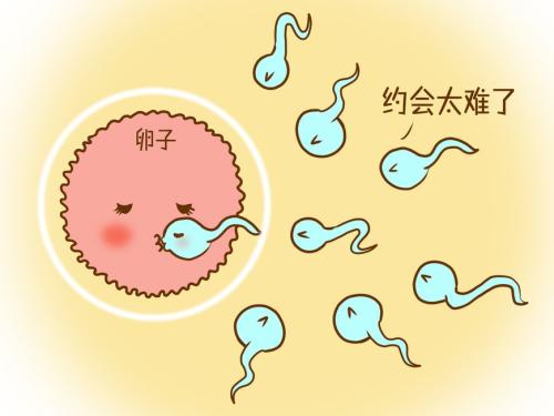 男科医生为你揭秘：早泄的15大原因